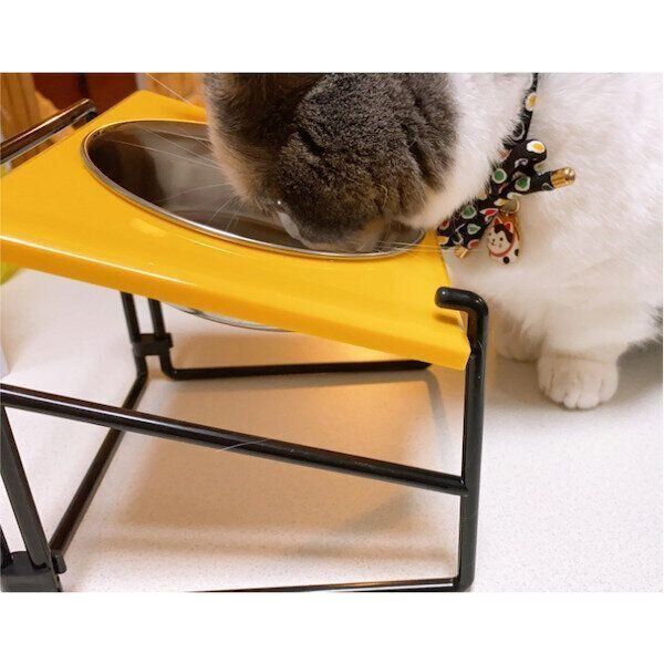 セリアの猫グッズ