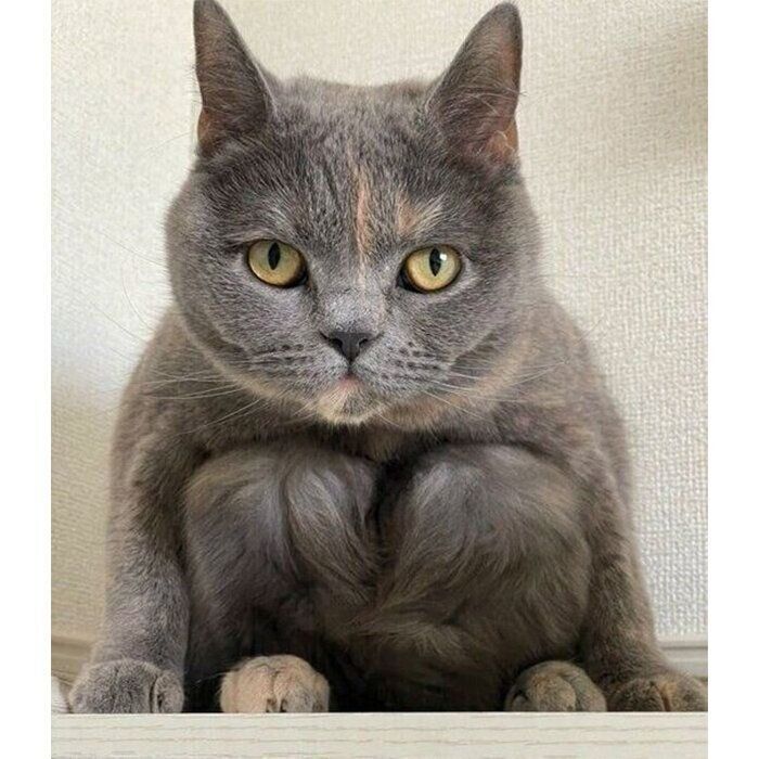 シュールな座り方のグクちゃん