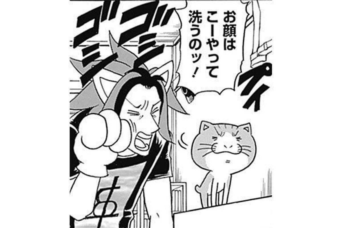 成長した子猫に見られた数々の 変化 にv系バンドマンもびっくり ねこのきもちweb Magazine 成長した子猫に見られた数々の 変化 にv系バンドマンもびっくり ねこのきもちweb Magazine