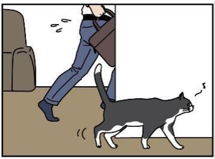 忙しいときに限って猫は見つけにくい場所にいる 男の猫道 Vol 10 ねこのきもちweb Magazine 忙しいときに限って猫は見つけにくい場所にいる 男の猫道 Vol 10 ねこのきもちweb Magazine