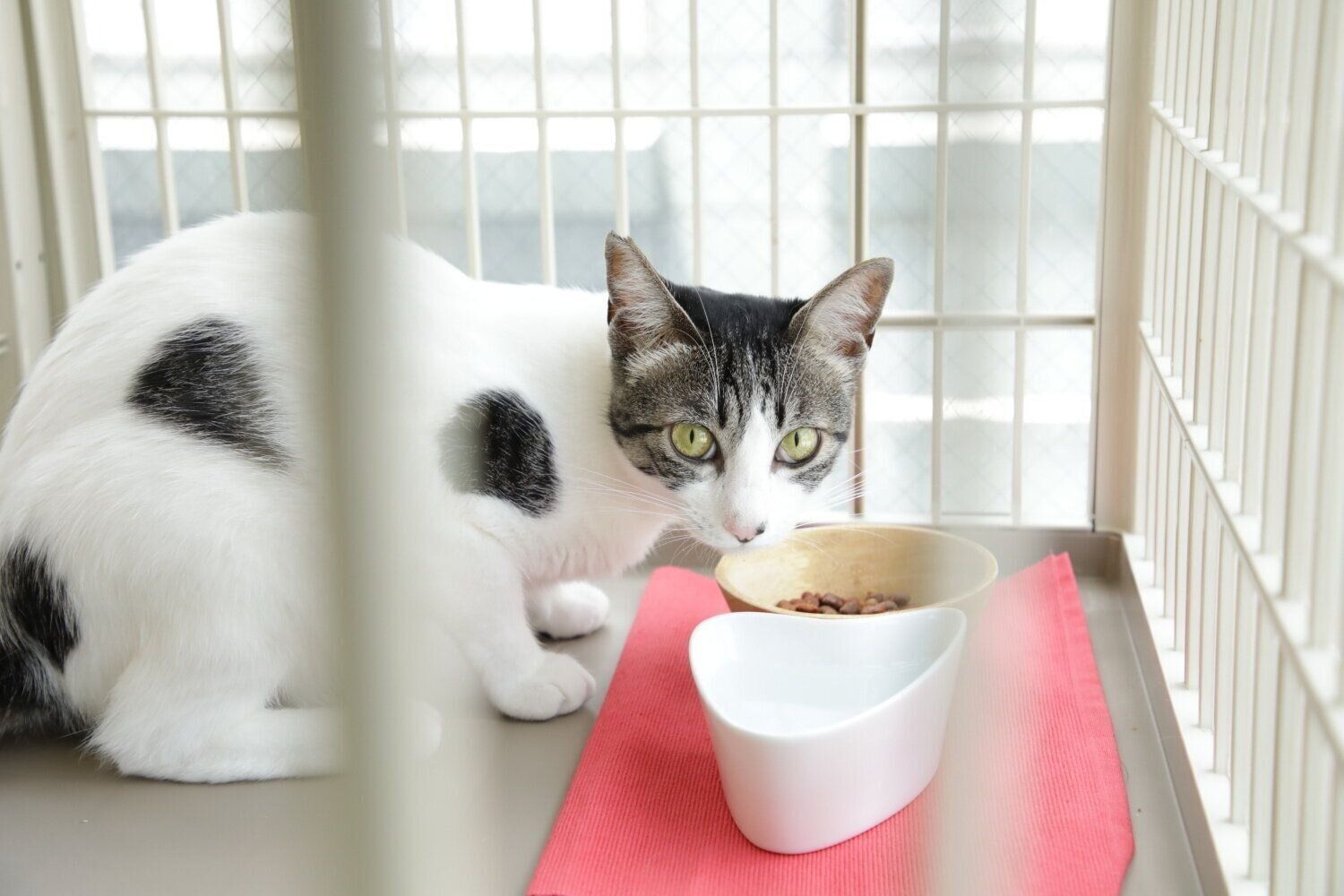 撮影／尾﨑たまき