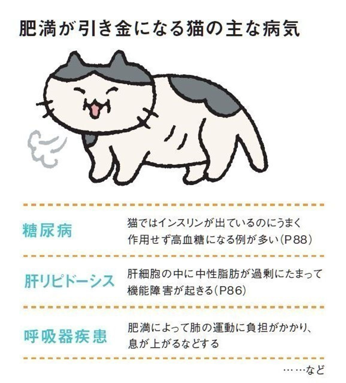 愛猫の肥満と適切なエネルギー量の関係 原因 チェック方法 対策 ねこのきもちweb Magazine 愛猫の肥満と適切なエネルギー量の関係 原因 チェック方法 対策 ねこのきもちweb Magazine