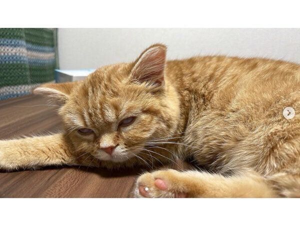 爆睡するえだまめくん