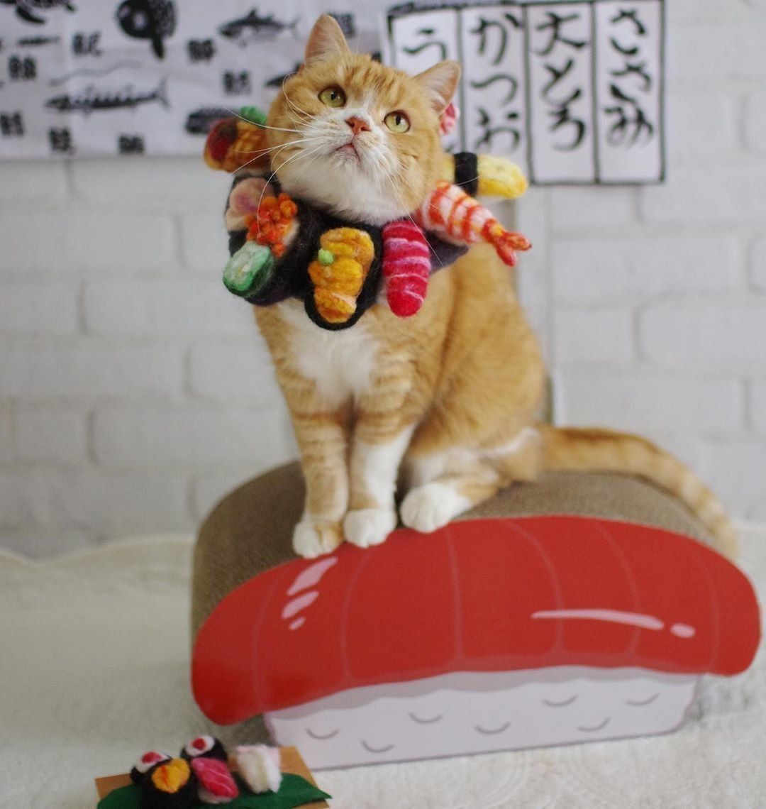 お寿司を首に巻くぷぷちゃん