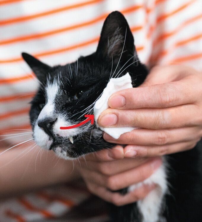 あごニキビのケア方法3