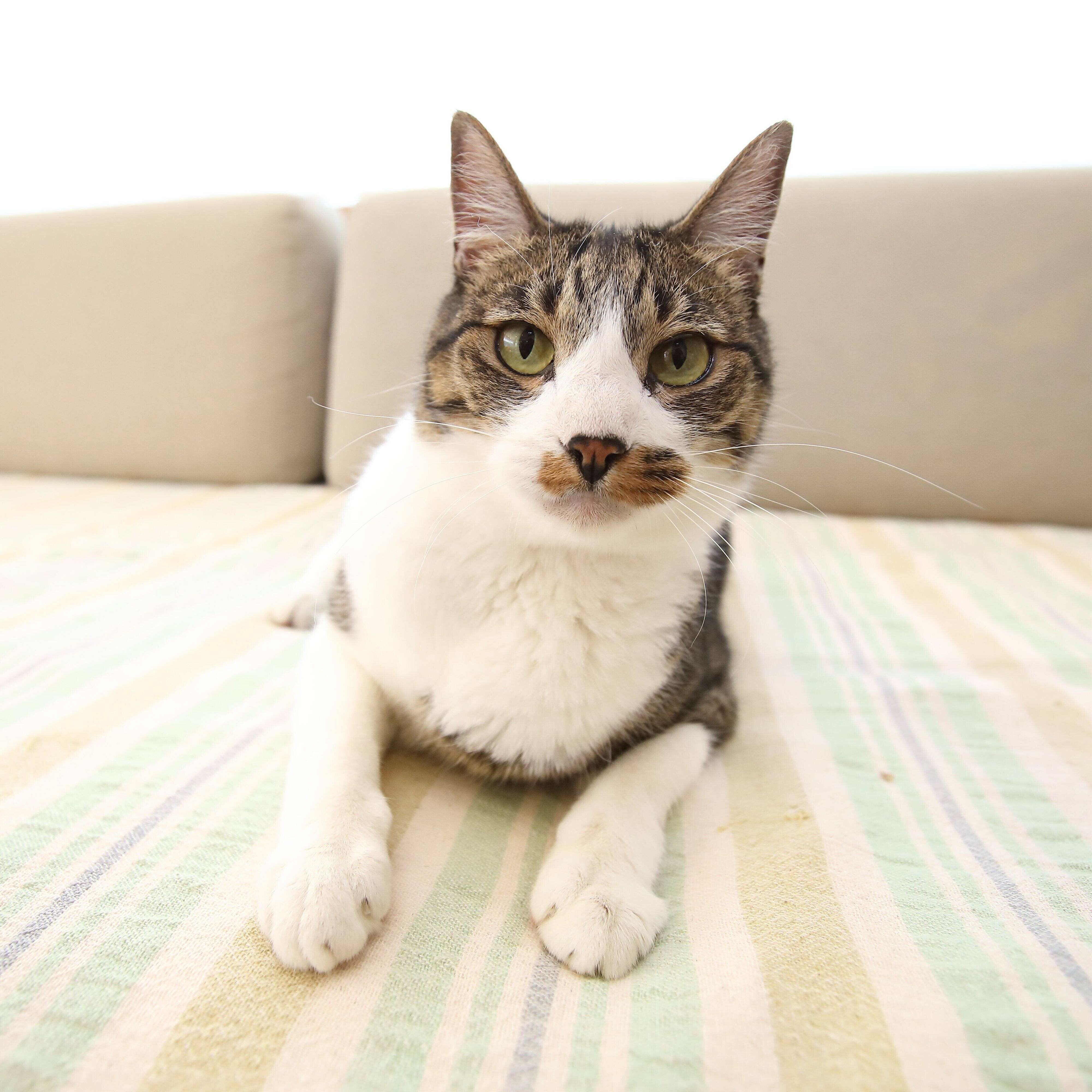 撮影／尾﨑たまき