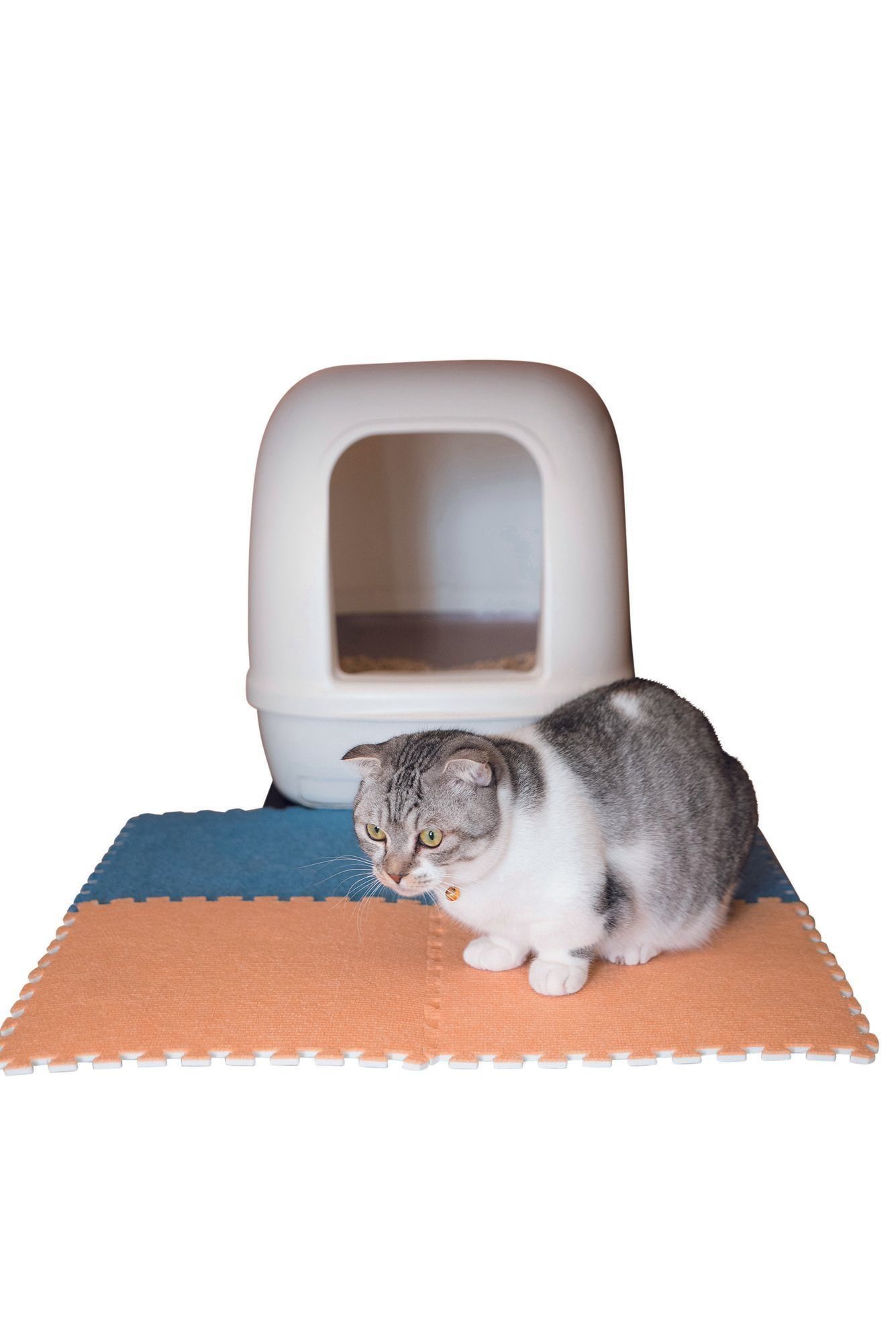 撮影／中川文作