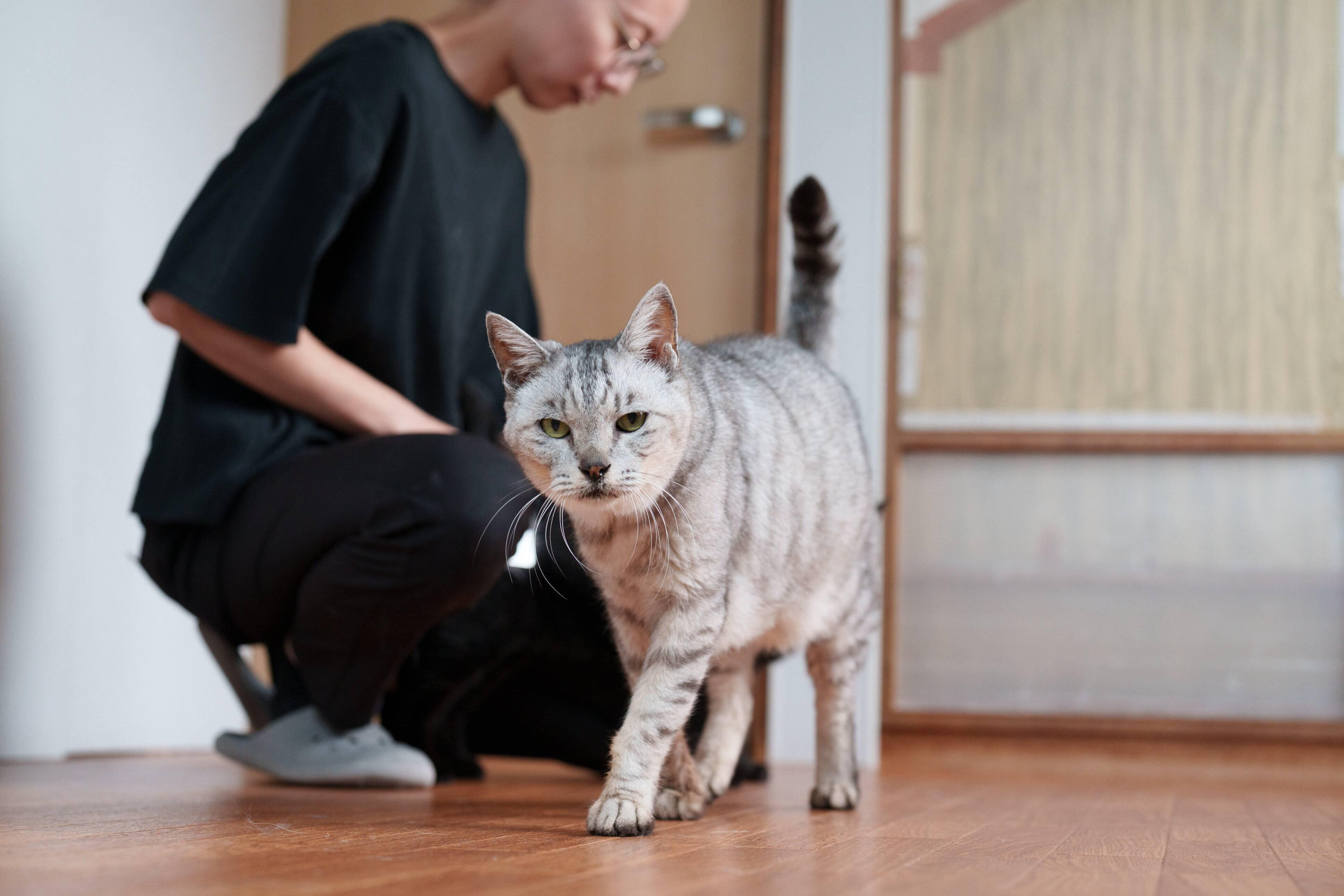 写真提供／ファミーユ