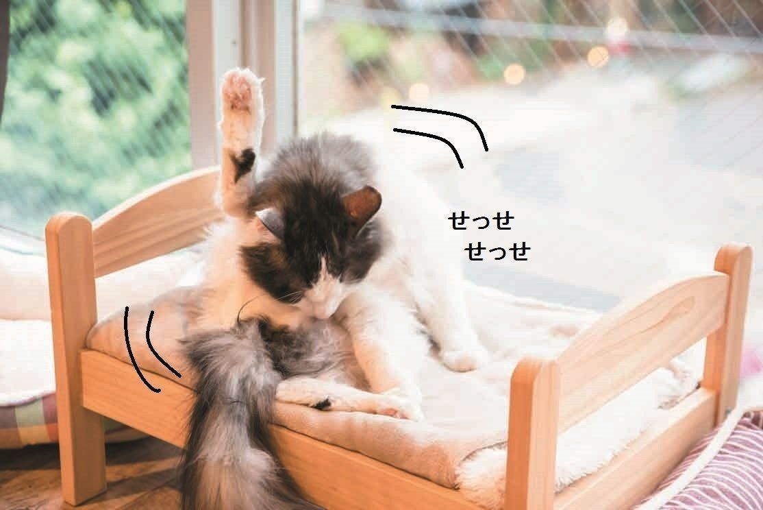 撮影／中川文作