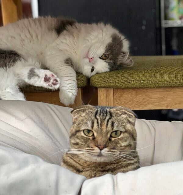 まつたけちゃんのことを見つめるおすしくん