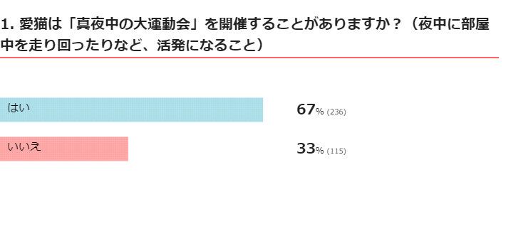 ねこのきもちWEB MAGAZNE『猫の真夜中の大運動会に関するアンケートvol.01』回答351件