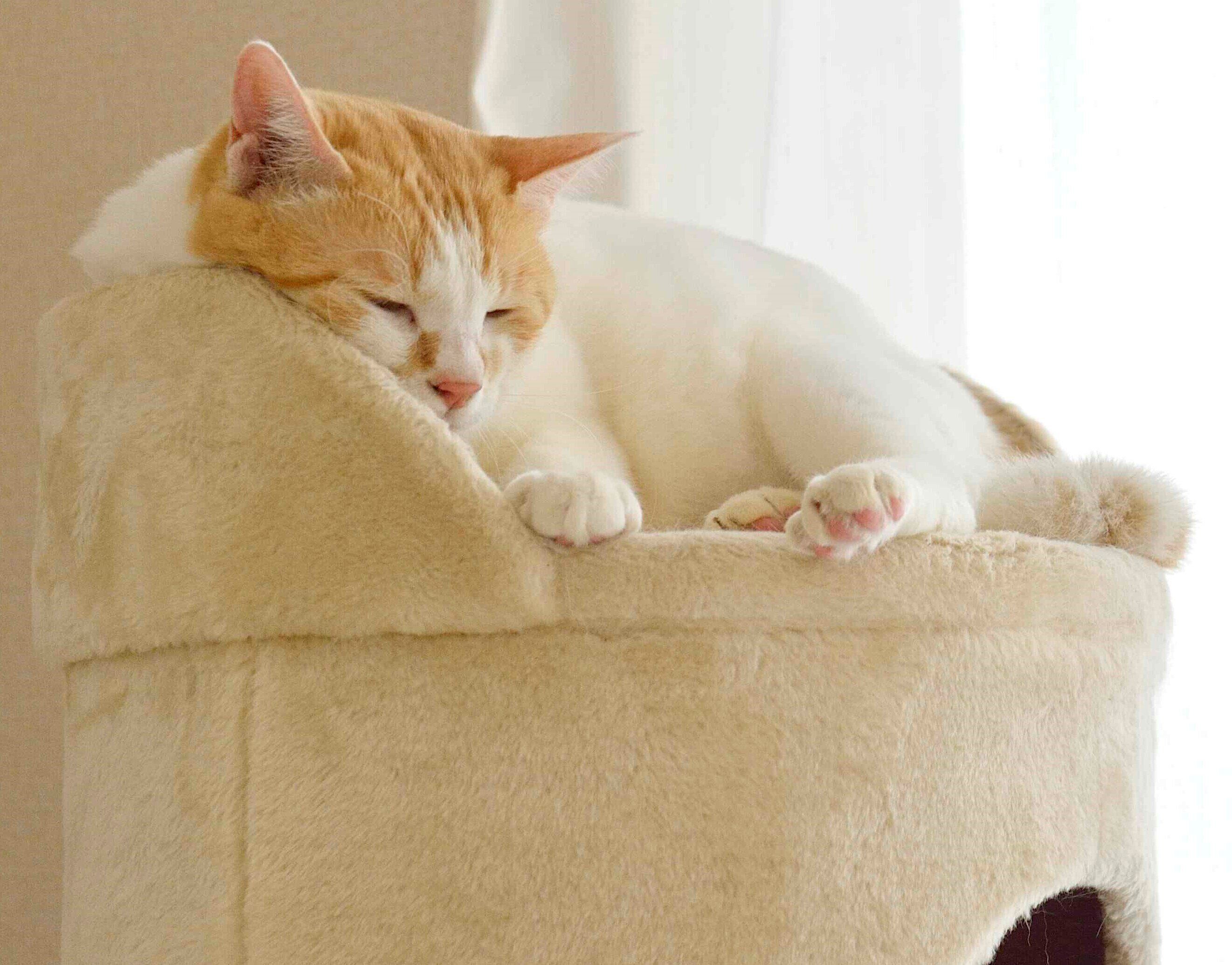 撮影／奥山美奈子