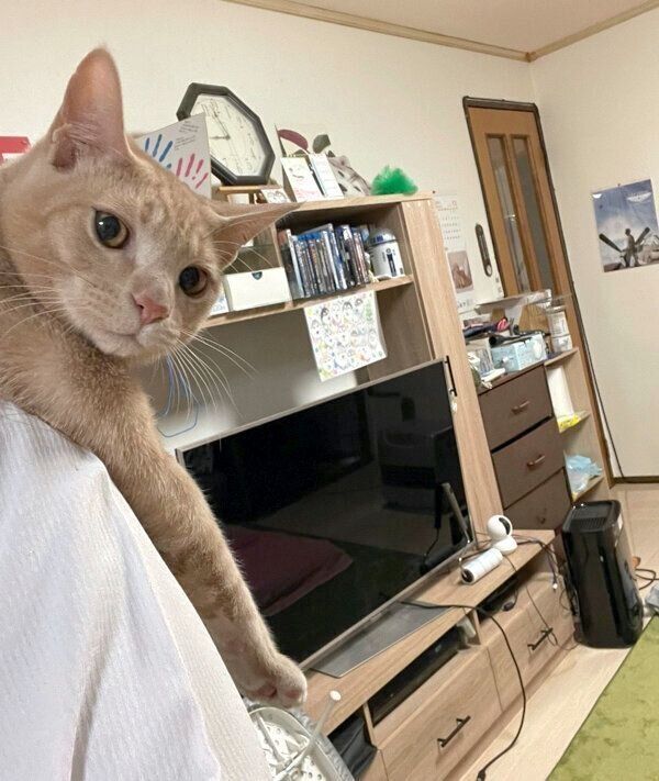 ハマジさんの肩に乗るダニエルくん