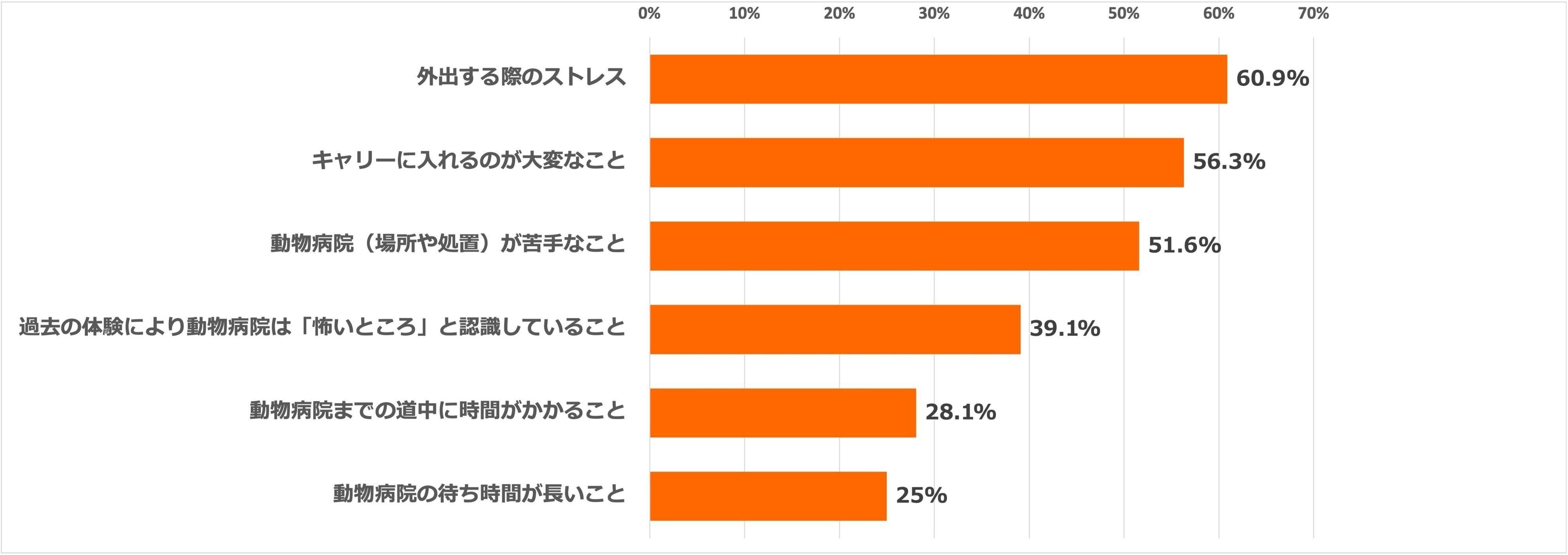 アンケートのグラフ