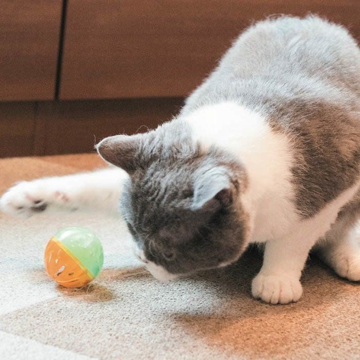 撮影／中川文作