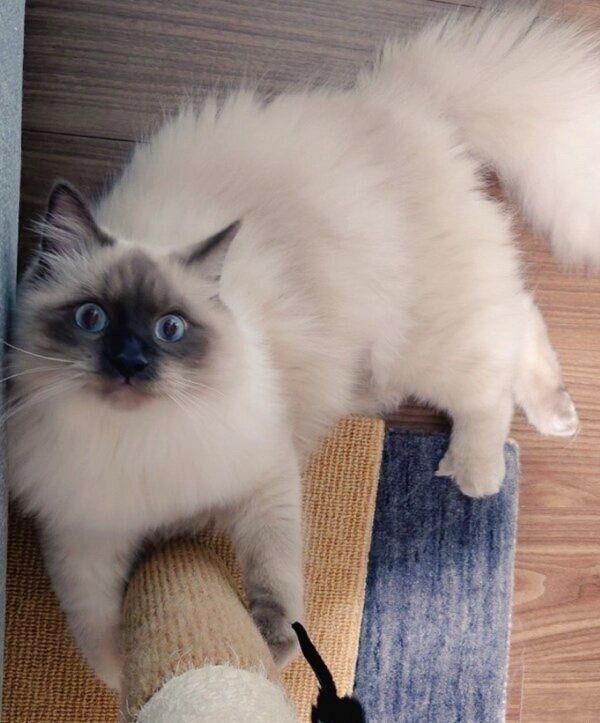 カメラ目線のソラくん。