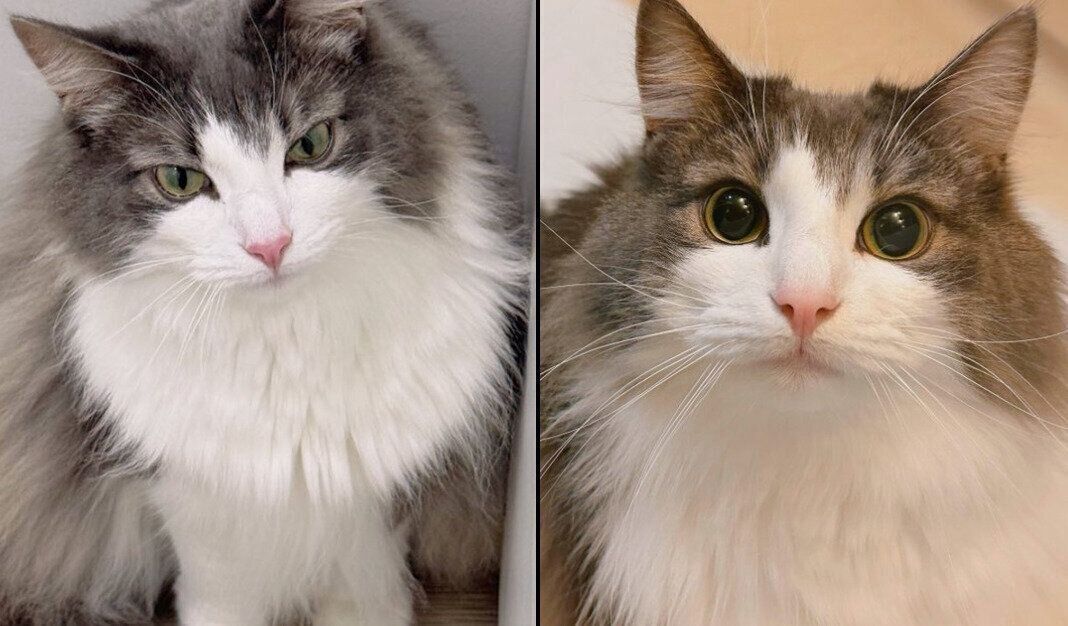 表情の変化がスゴい直哉くん