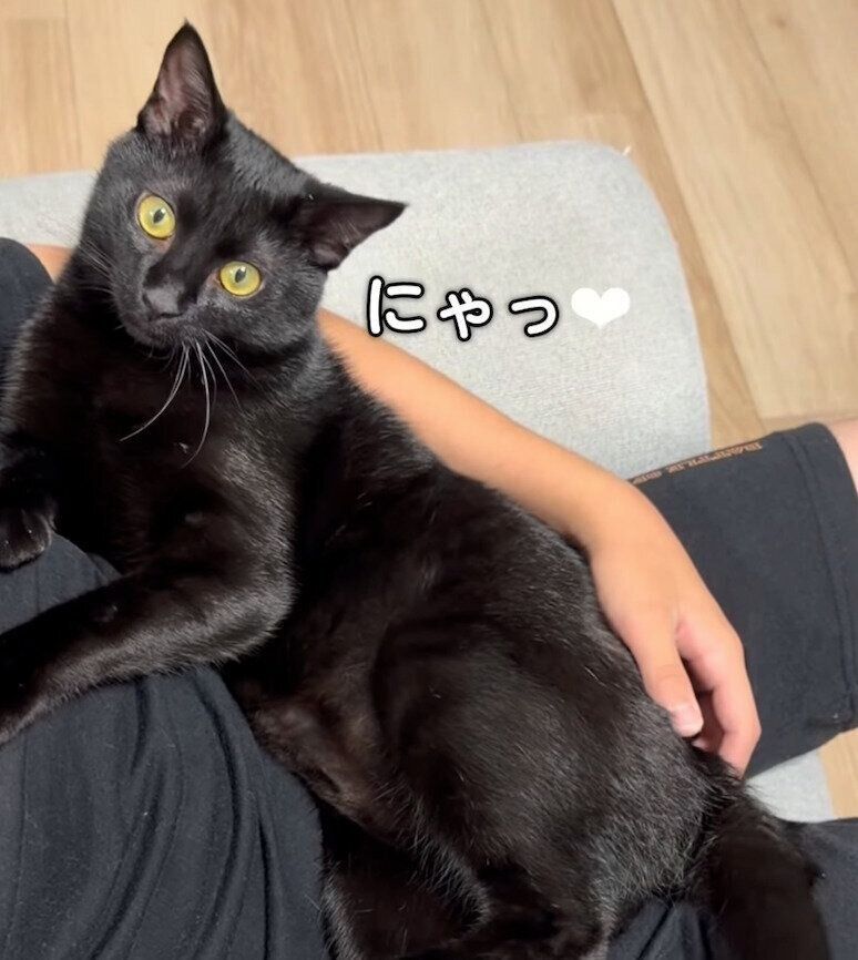 甘えるクロちゃん