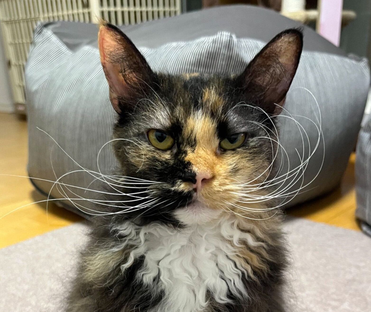 1才になったエカちゃん