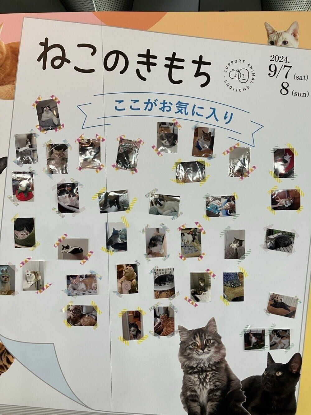 ここがお気に入り