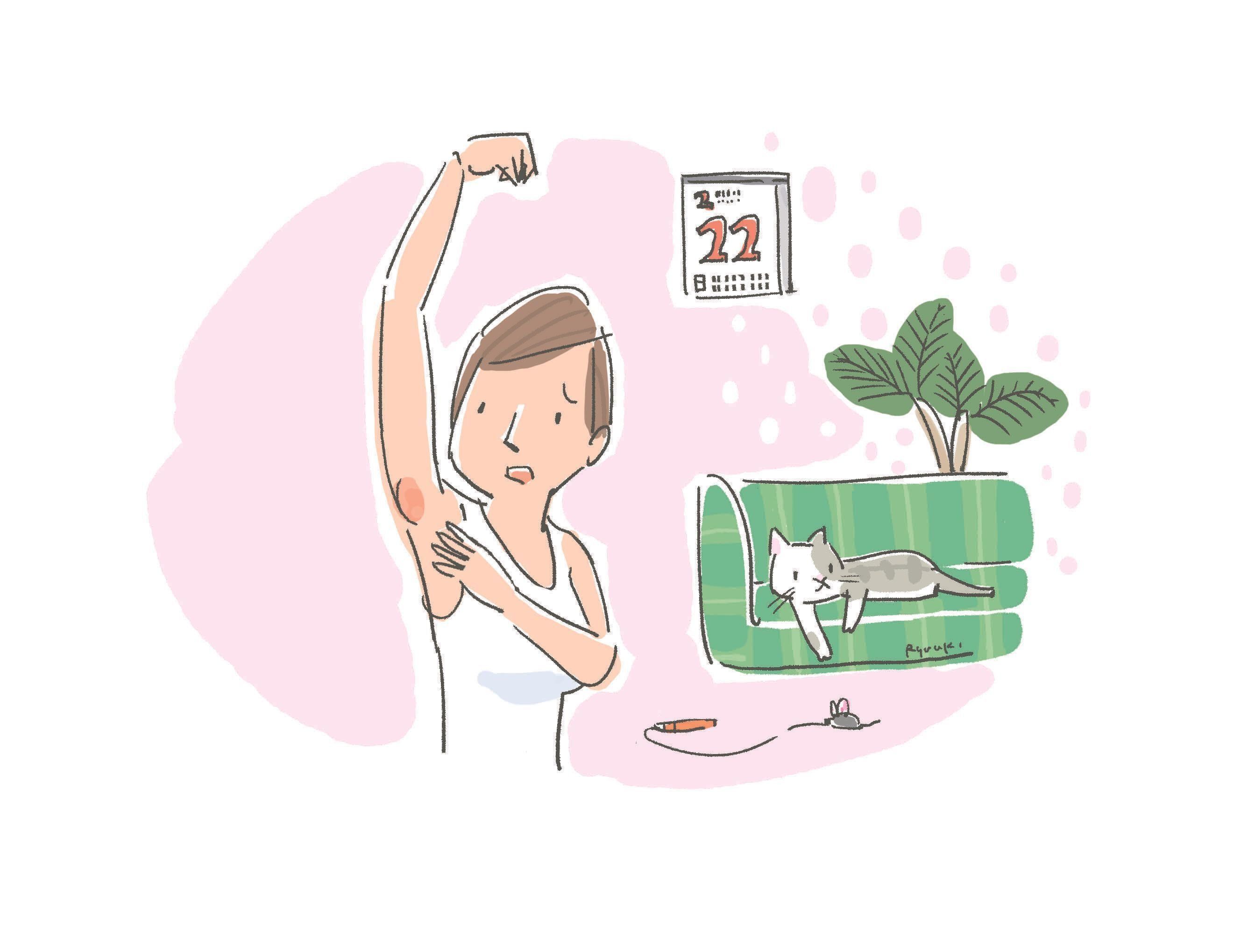 イラスト／深尾竜騎