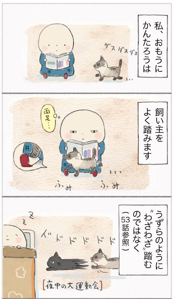 「ねこ連れ草」54話め