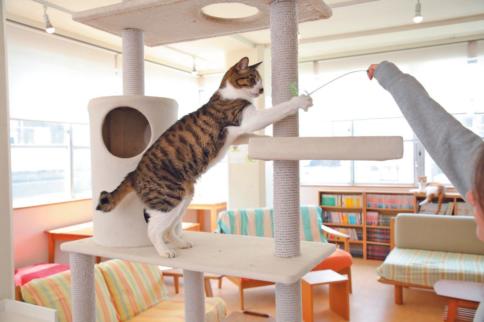 撮影／尾﨑たまき