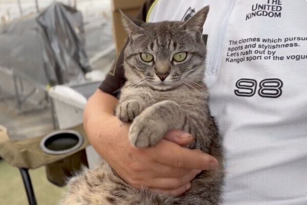 穏やかな表情になったコタローくん