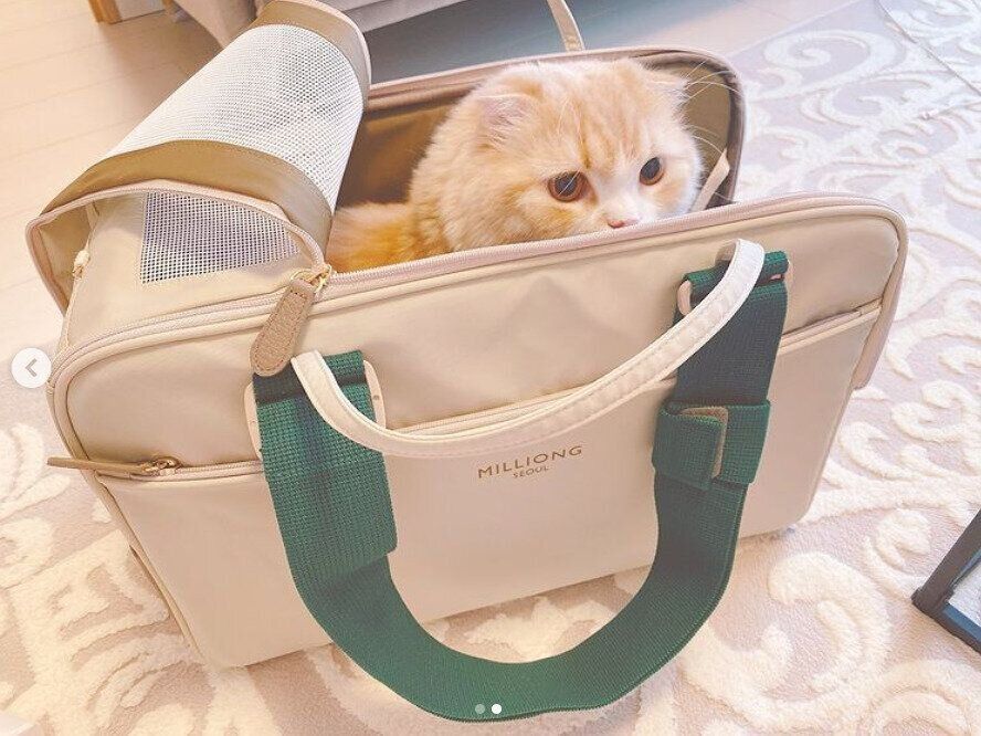MILLIONGのキャリーバッグ