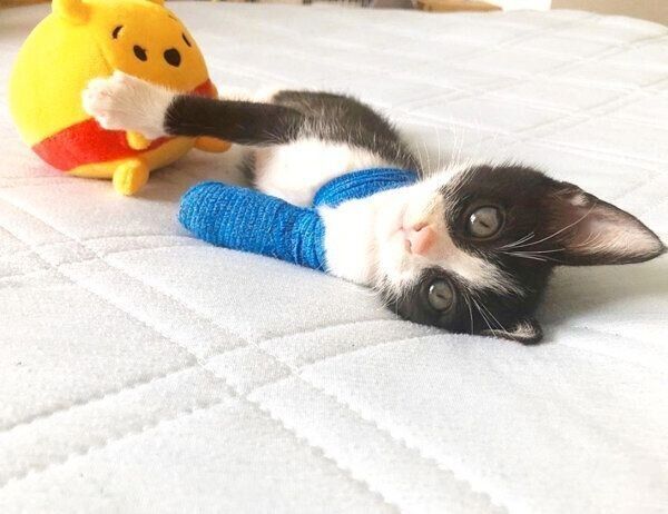 寝転がるラッキーくん