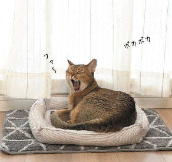 暖房器具を使用しないで簡単に温まれる工夫