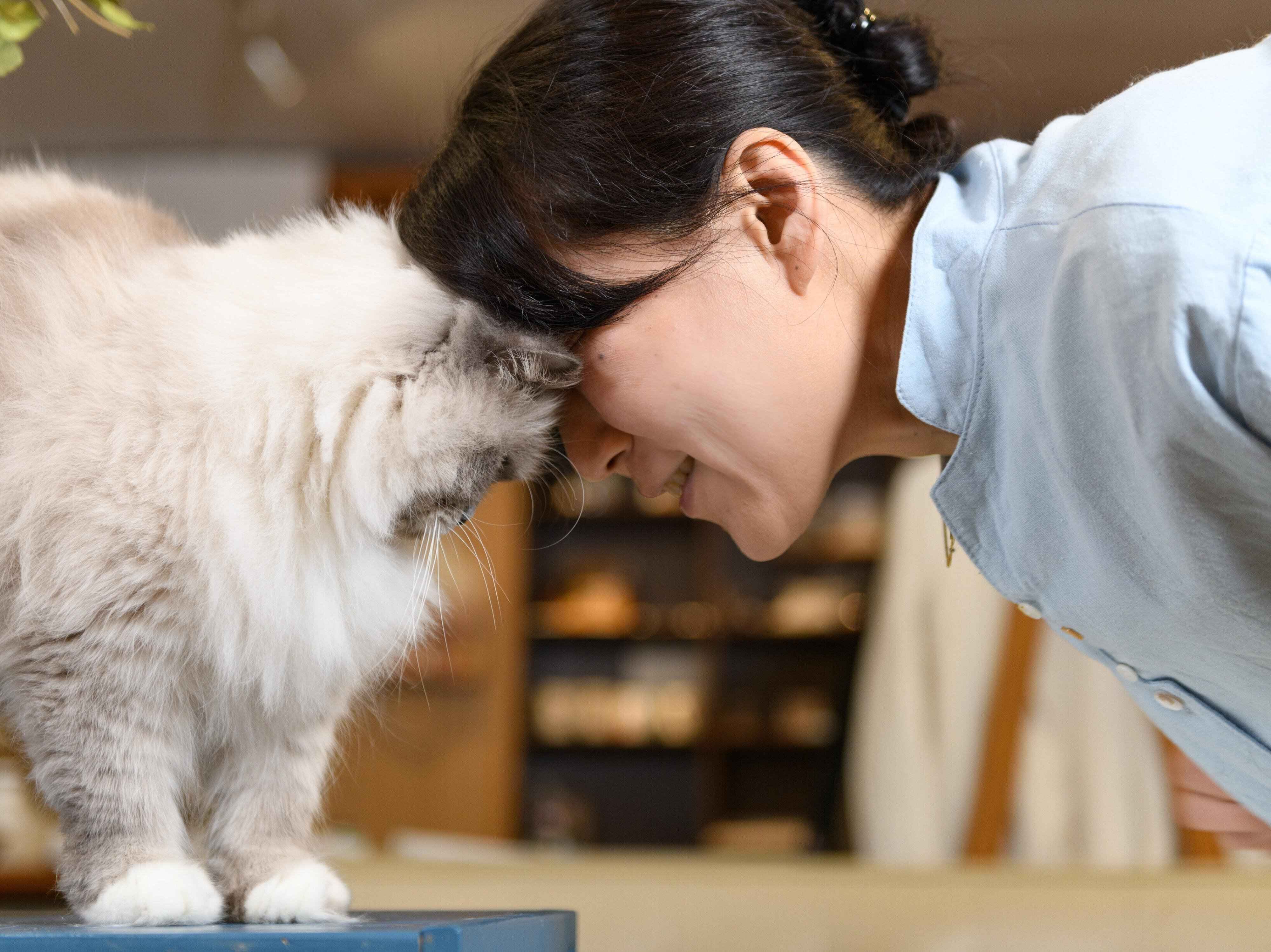 撮影／Akimasa Harada