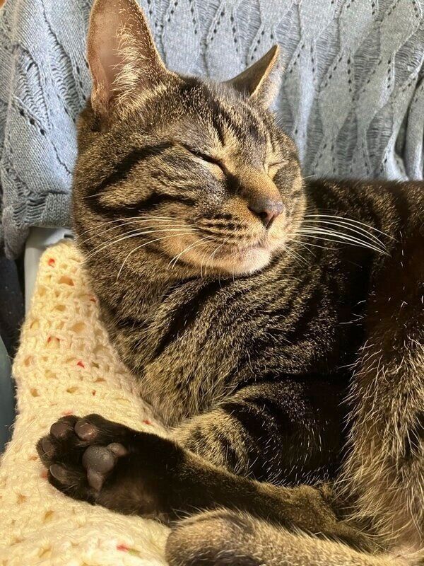 気持ち良さそうに寝転がる渚ちゃん