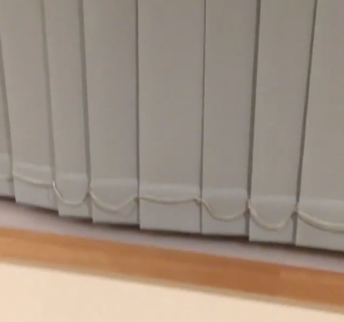 かわいい 妖精 を発見 ひょこっと顔を出すニャンコに胸キュン ねこのきもちweb Magazine かわいい 妖精 を発見 ひょこっと顔を出すニャンコに胸キュン ねこのきもちweb Magazine