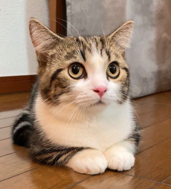 可愛い表情をするひなたくん