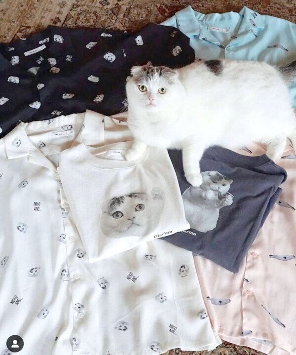 ライくん×「niko and ...」のコラボ商品