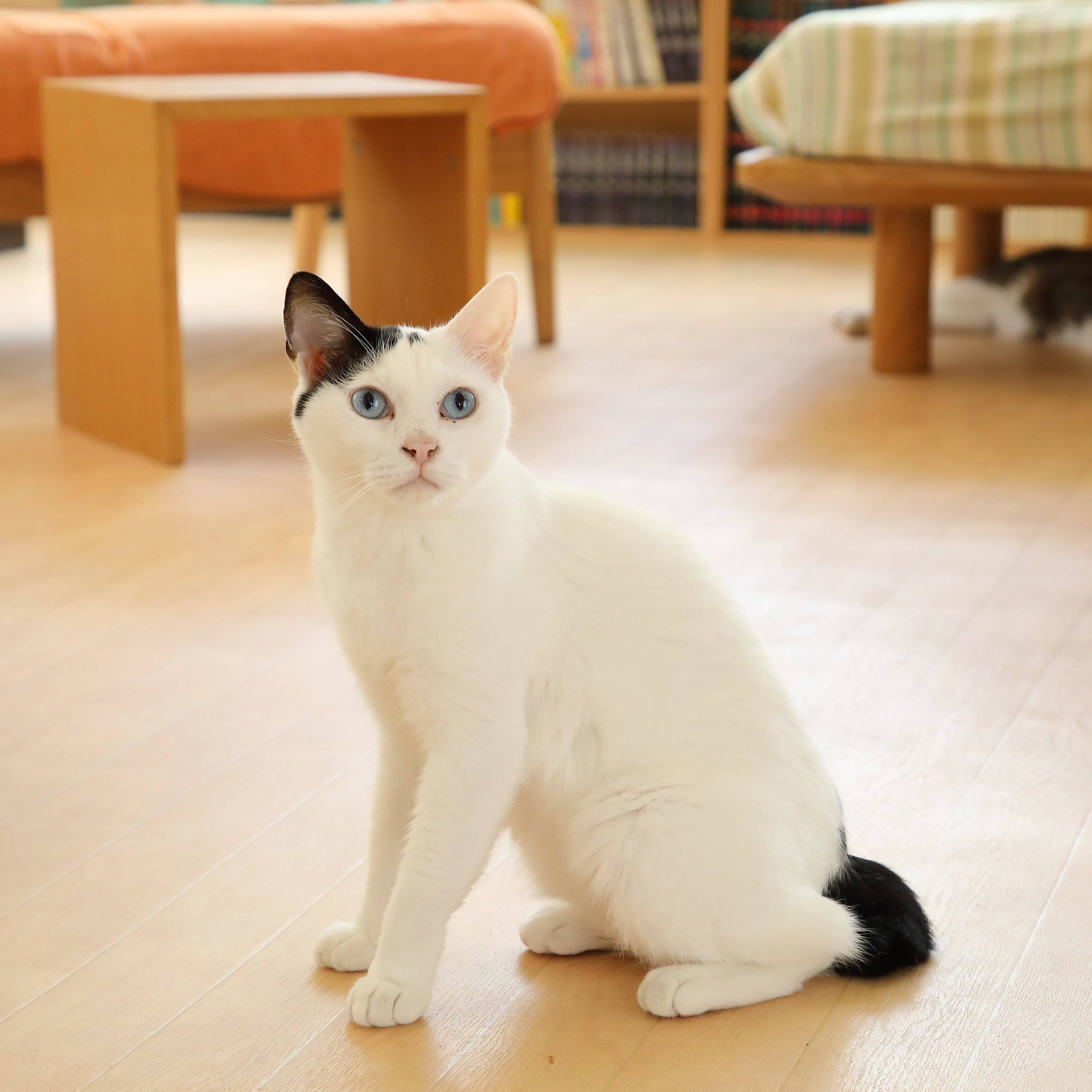 撮影／尾﨑たまき