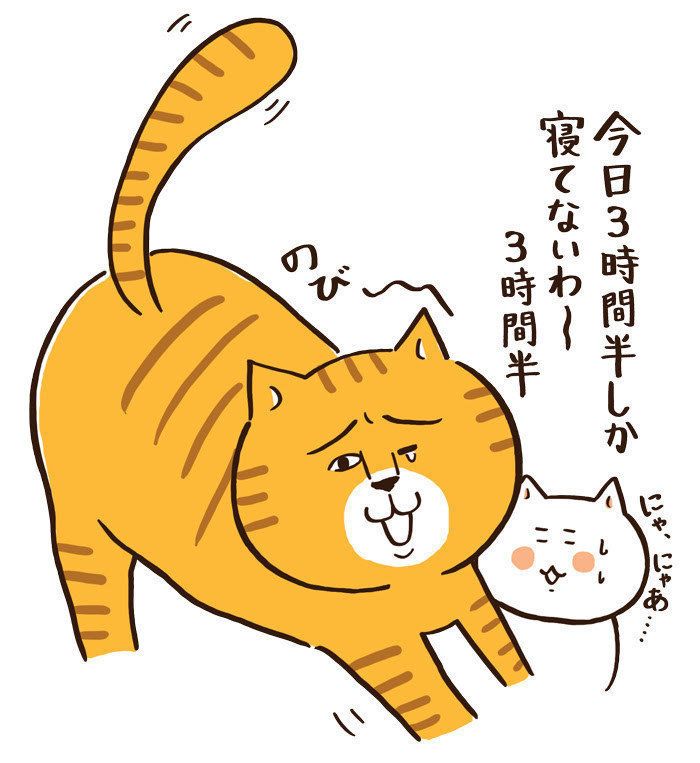 「ねこのきもち」2017年12月号