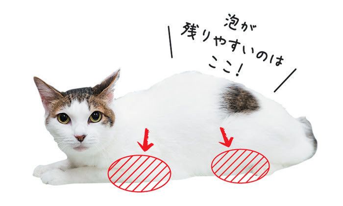 泡が残りやすいのはここ