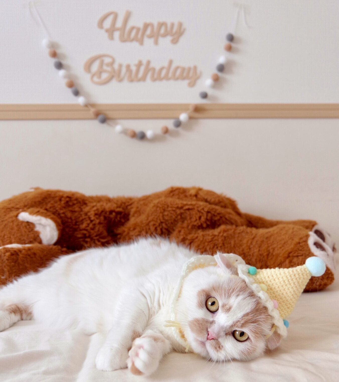 10才になったホイちゃん