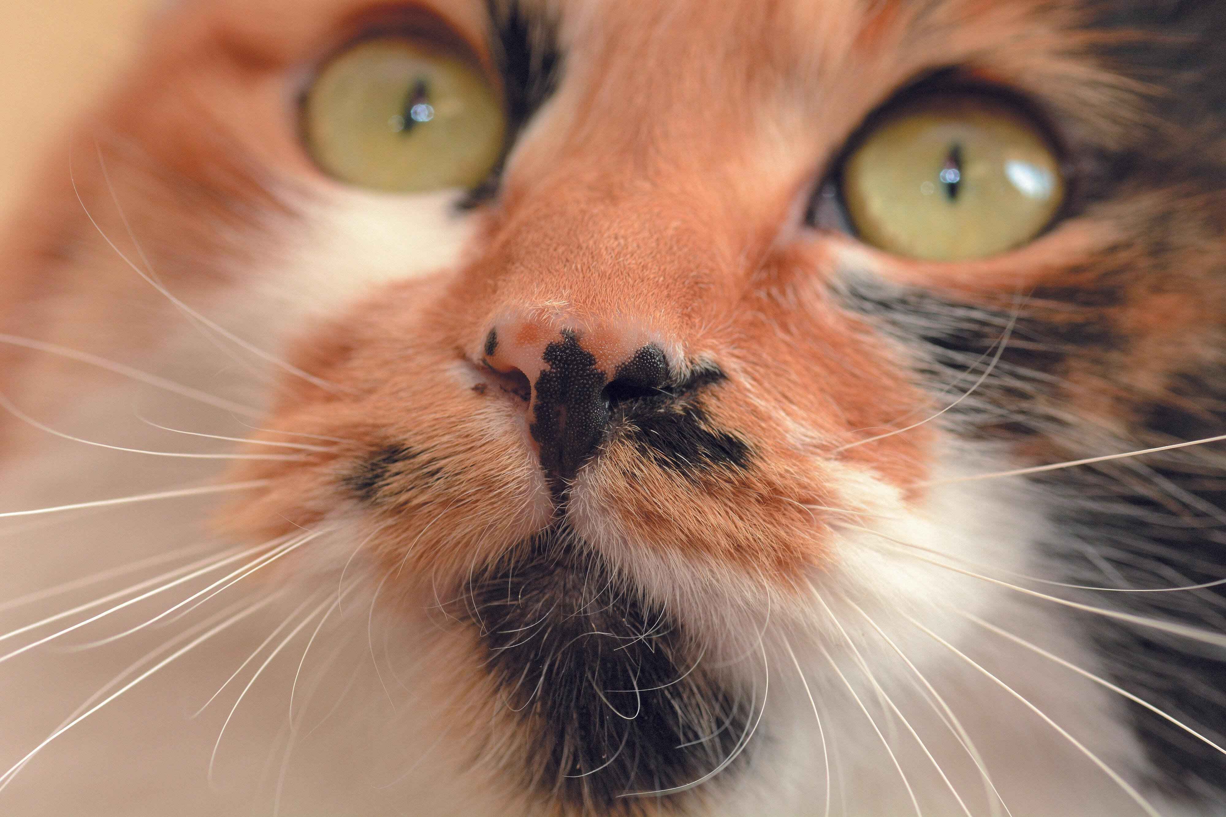 撮影／栗林　愛