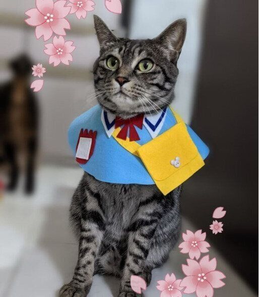 入園ルックのお洋服