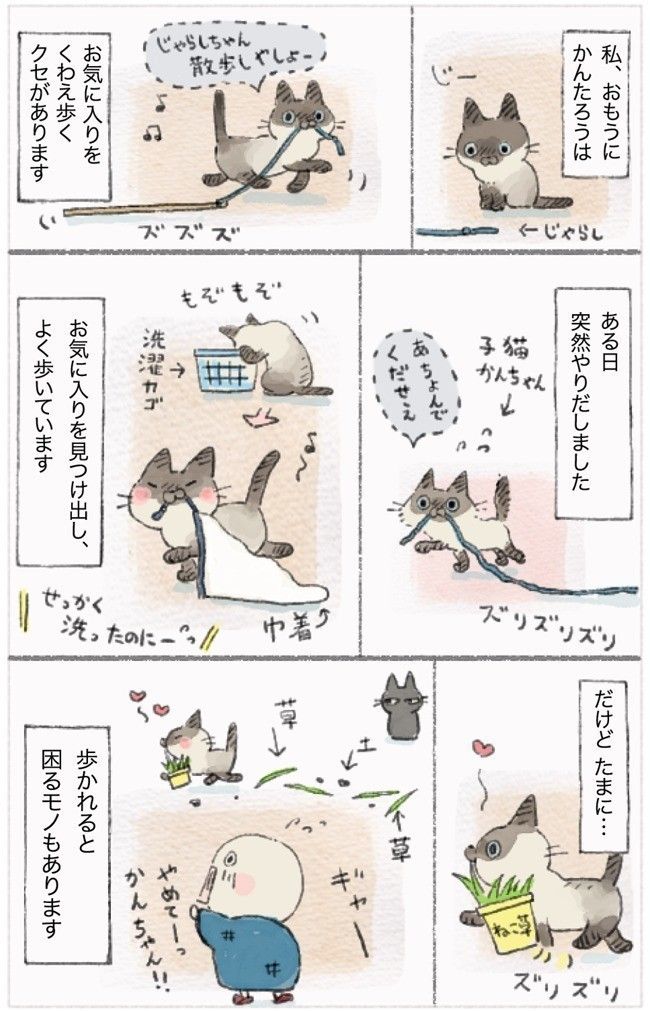 『ねこ連れ草』17話め