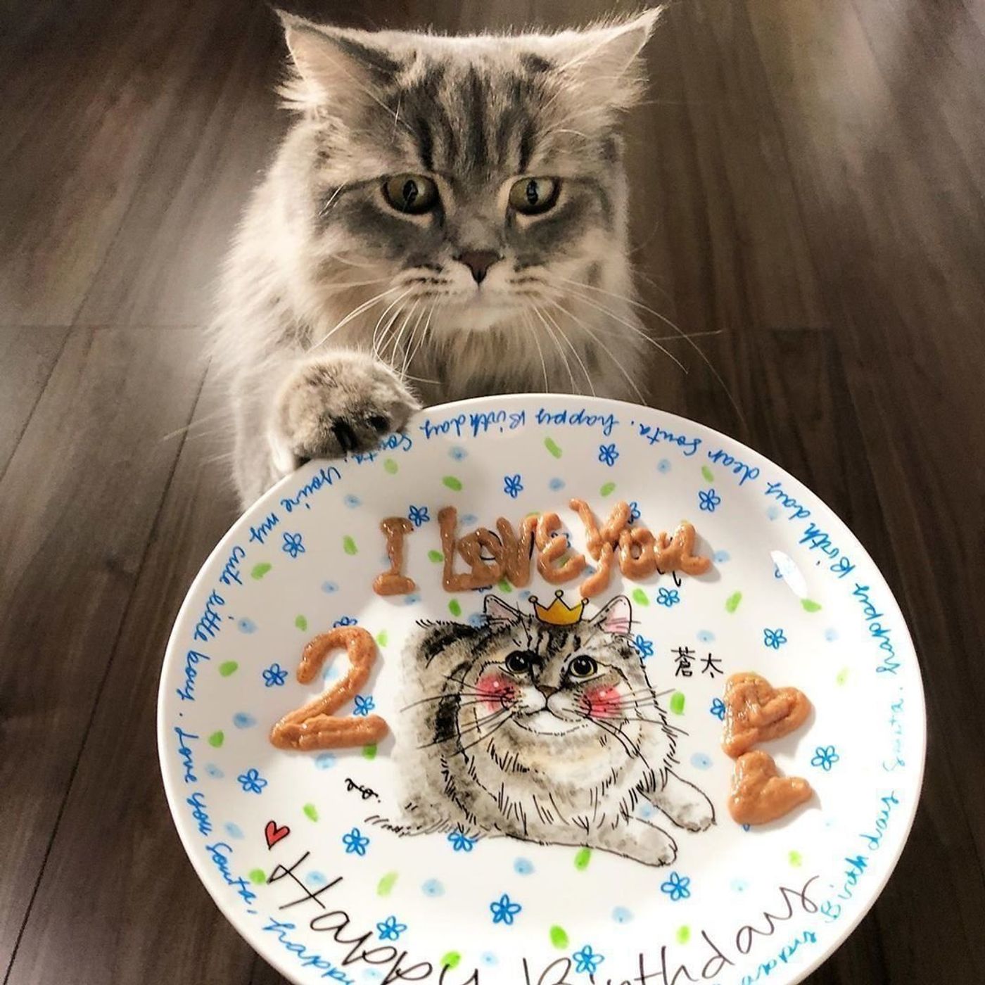 すてきなバースデープレートで愛猫の誕生日をお祝いしよう ねこのきもちweb Magazine すてきなバースデープレートで愛猫の誕生日をお祝いしよう ねこのきもちweb Magazine