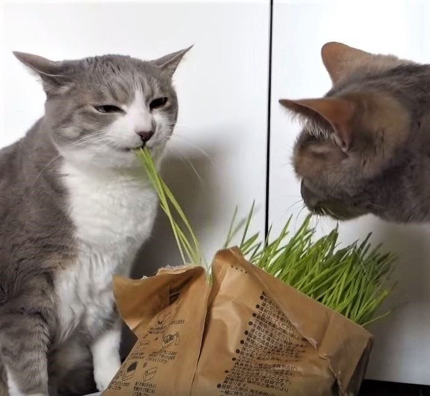 Hm9g9eqje8rafm Hm9g9eqje8rafm