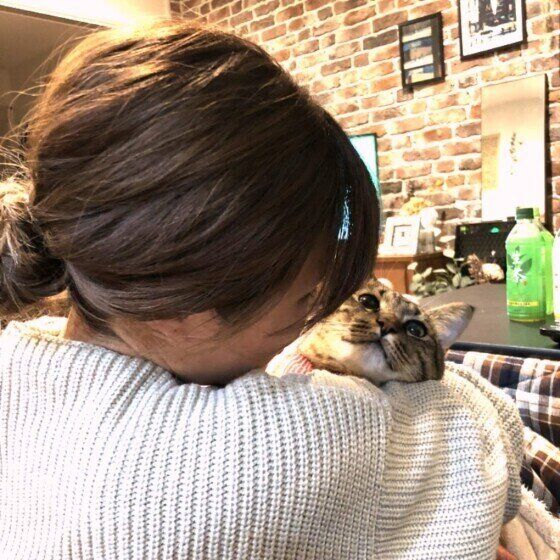 キジトラの山下たびおくん