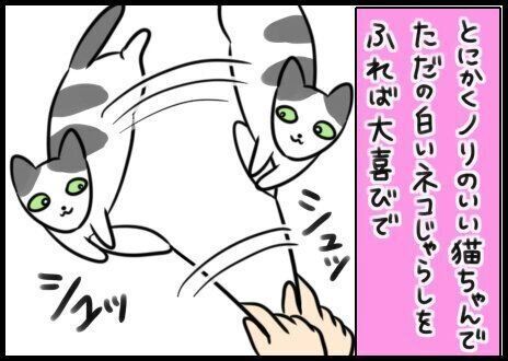 部屋を出ると…猫が必死に追いかけてくる！可愛すぎる別れ際の攻防戦【連載】もふもふスコたん#361