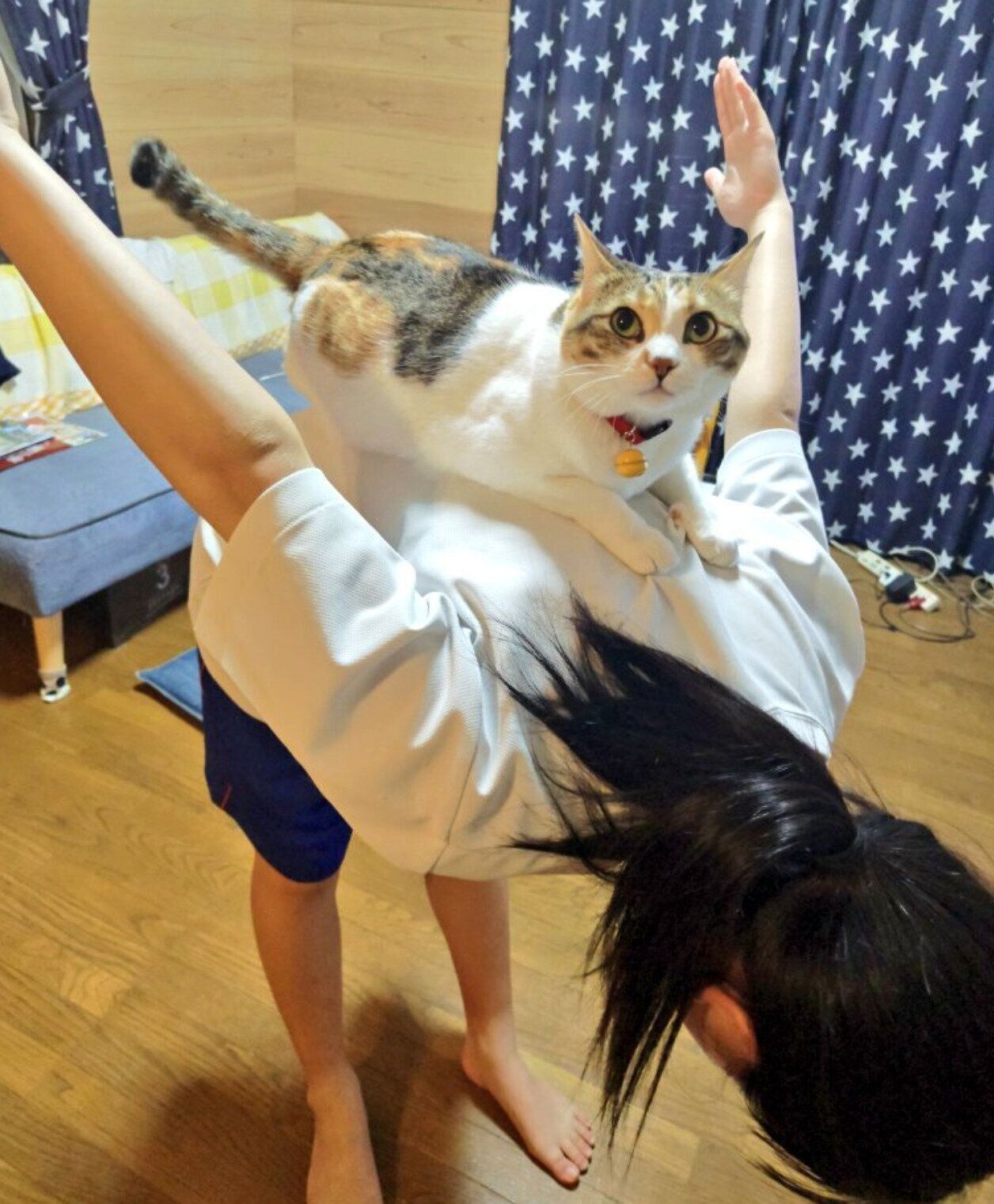 娘さんの背中に乗るテンちゃん