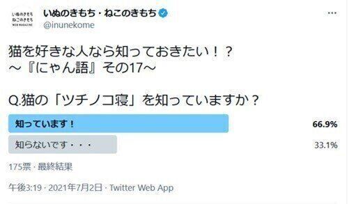 ツチノコ寝のアンケート