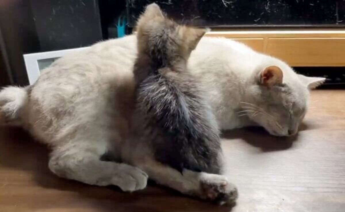 Ecsdq9xuvjjnam Ecsdq9xuvjjnam